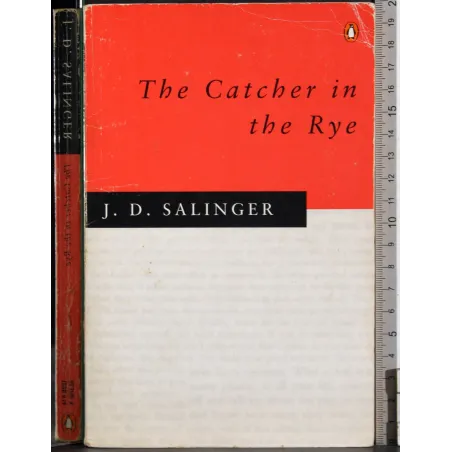 The Catcher in the Rye