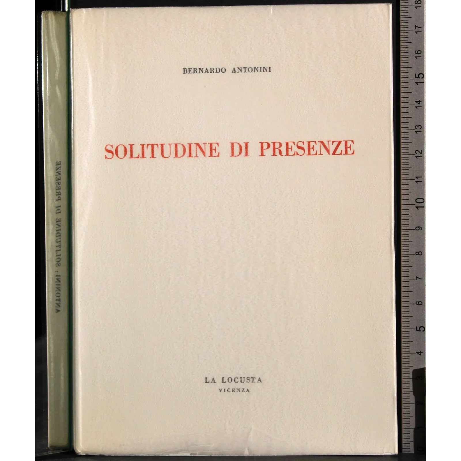 Solitudine di presenze