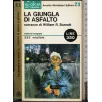 La giungla di asfalto