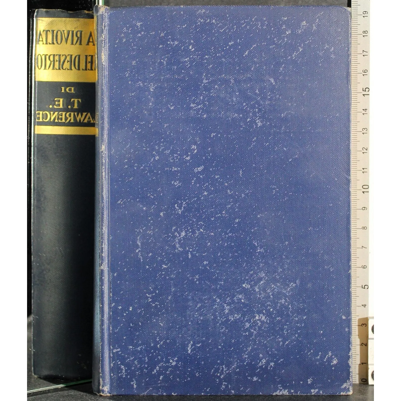 La rivolta nel deserto