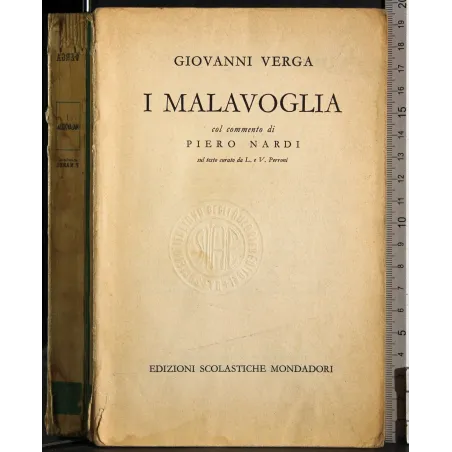 I malavoglia