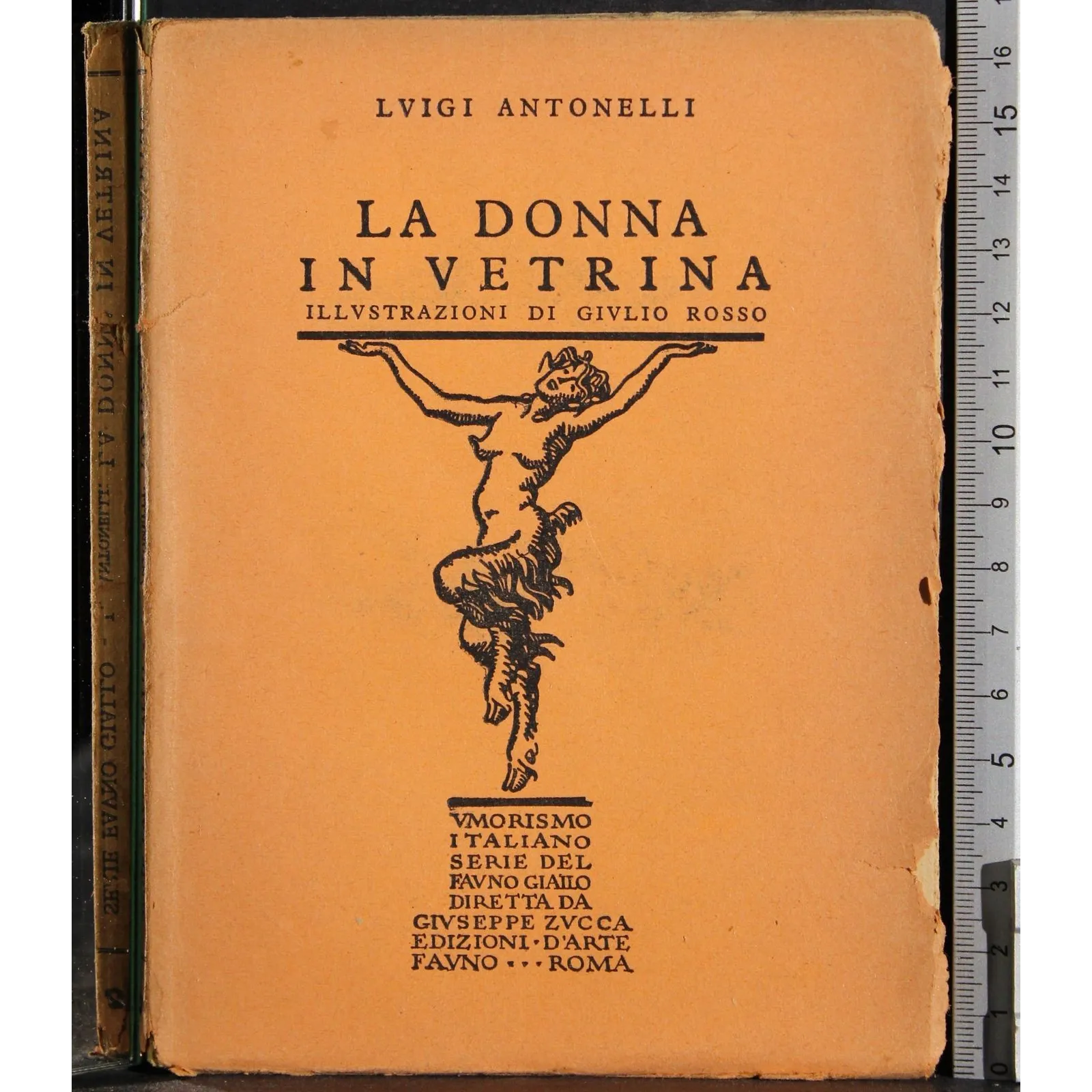 La donna in vetrina