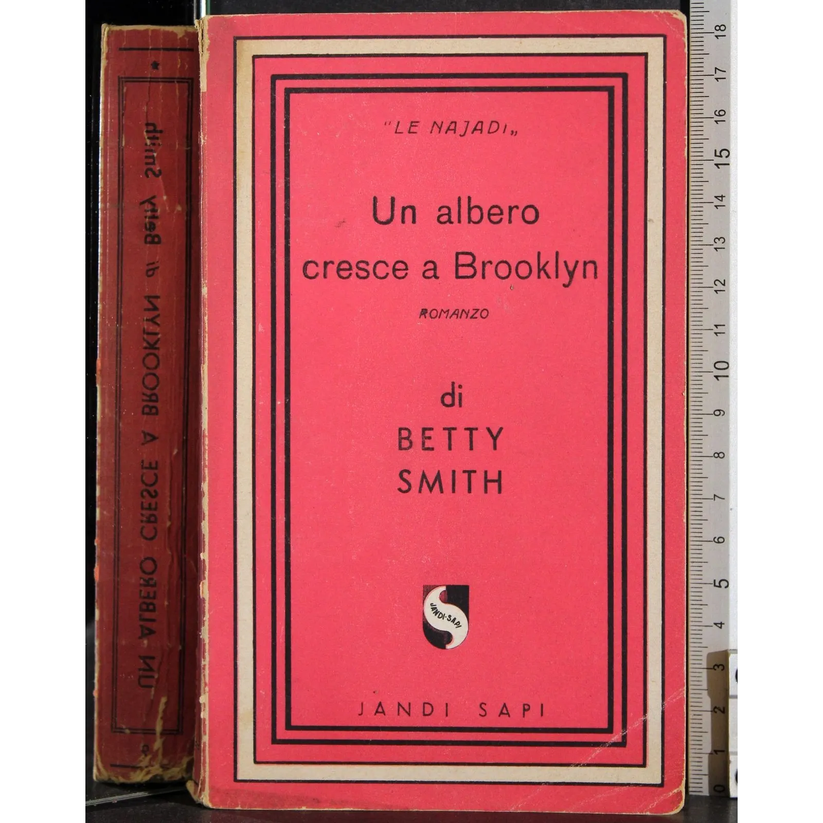 Un albergo cresce a Brooklyn