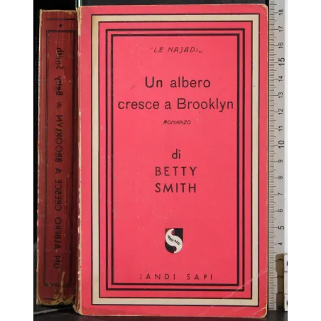 Un albergo cresce a Brooklyn