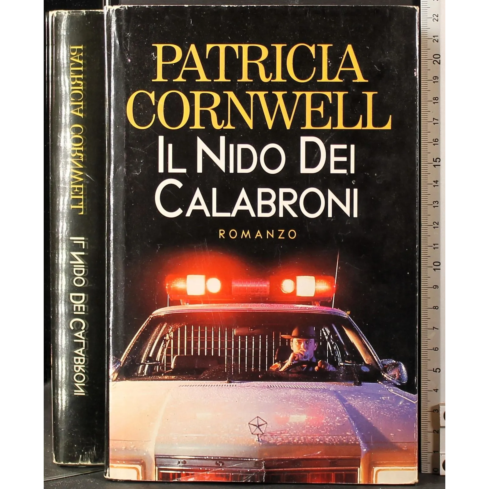 Il nido dei calabroni