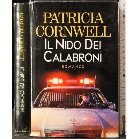 Il nido dei calabroni