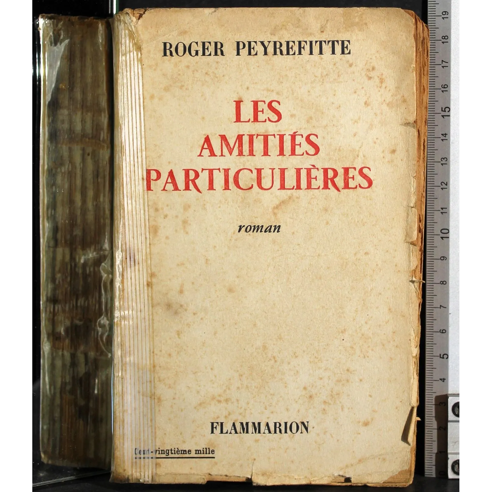 Les amities particulieres