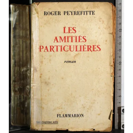 Les amities particulieres