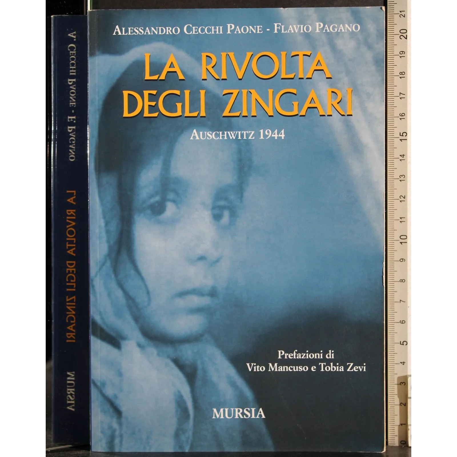 La rivolta degli zingari. Auschwitz 1944