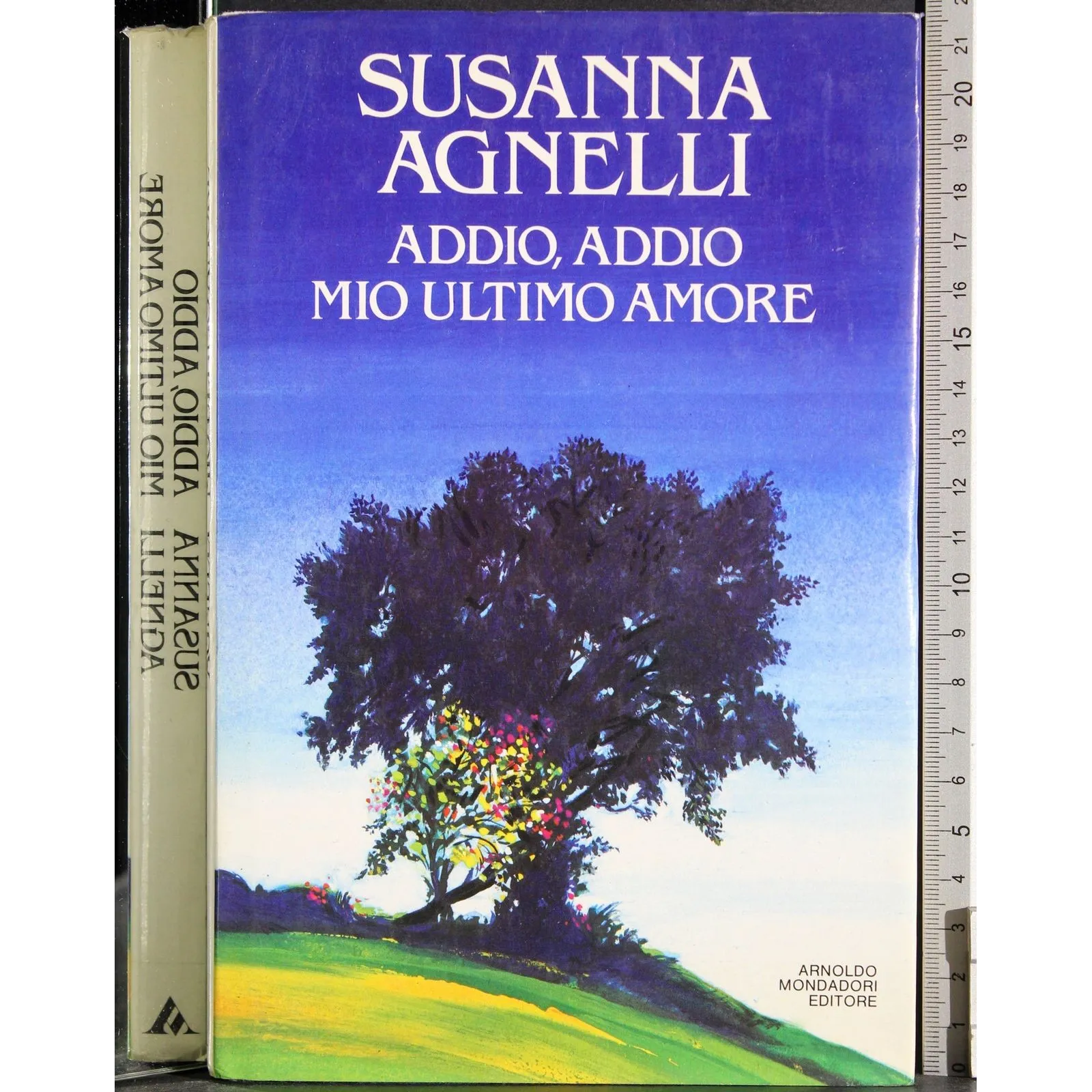 Addio, addio mio ultimo amore