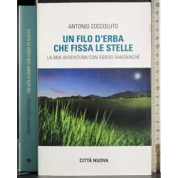 Un filo d'erba che fissa le stelle