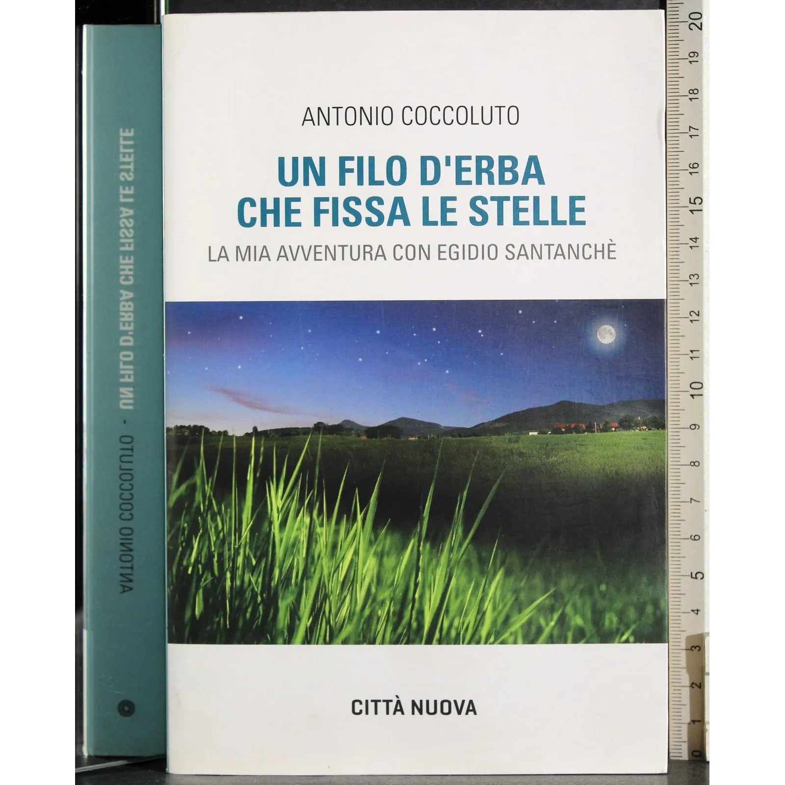 Un filo d'erba che fissa le stelle