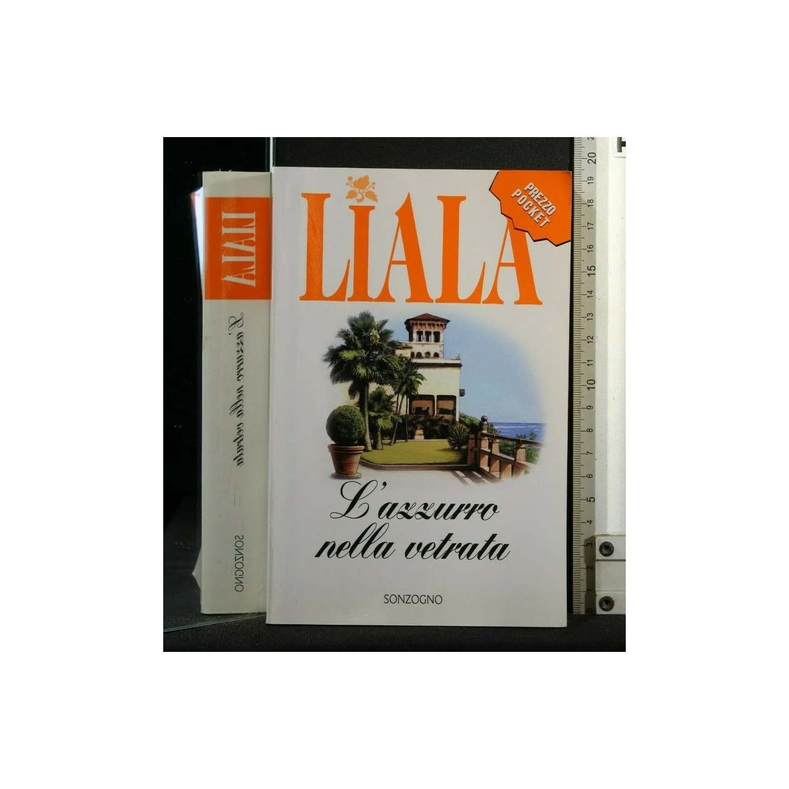 L'AZZURRO NELLA VETRATA