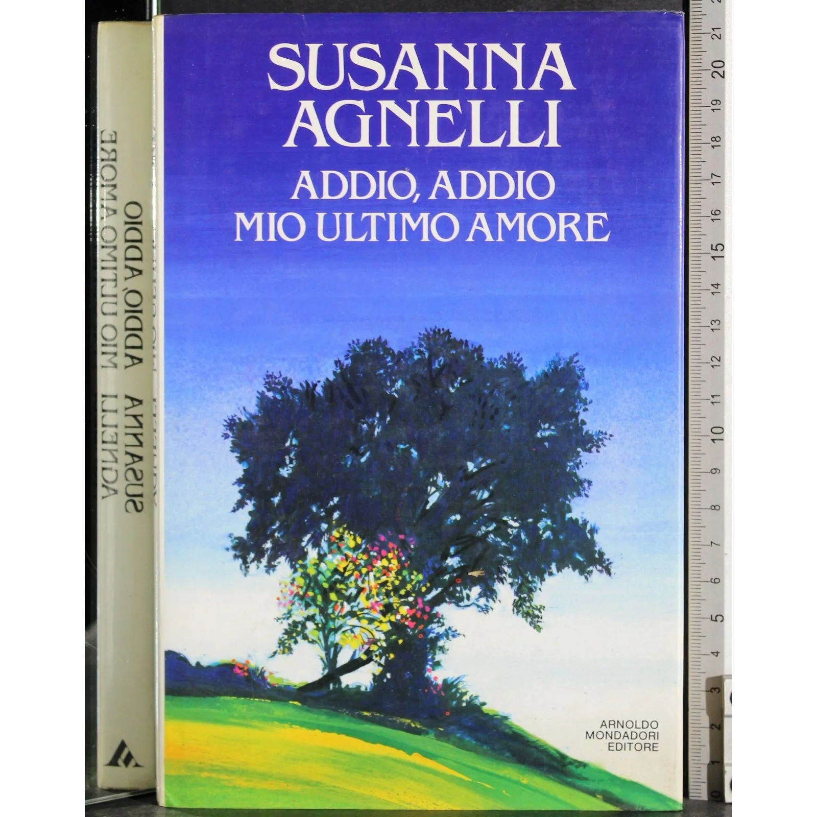 Addio, addio mio ultimo amore