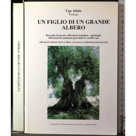 Un figlio di un grande albero