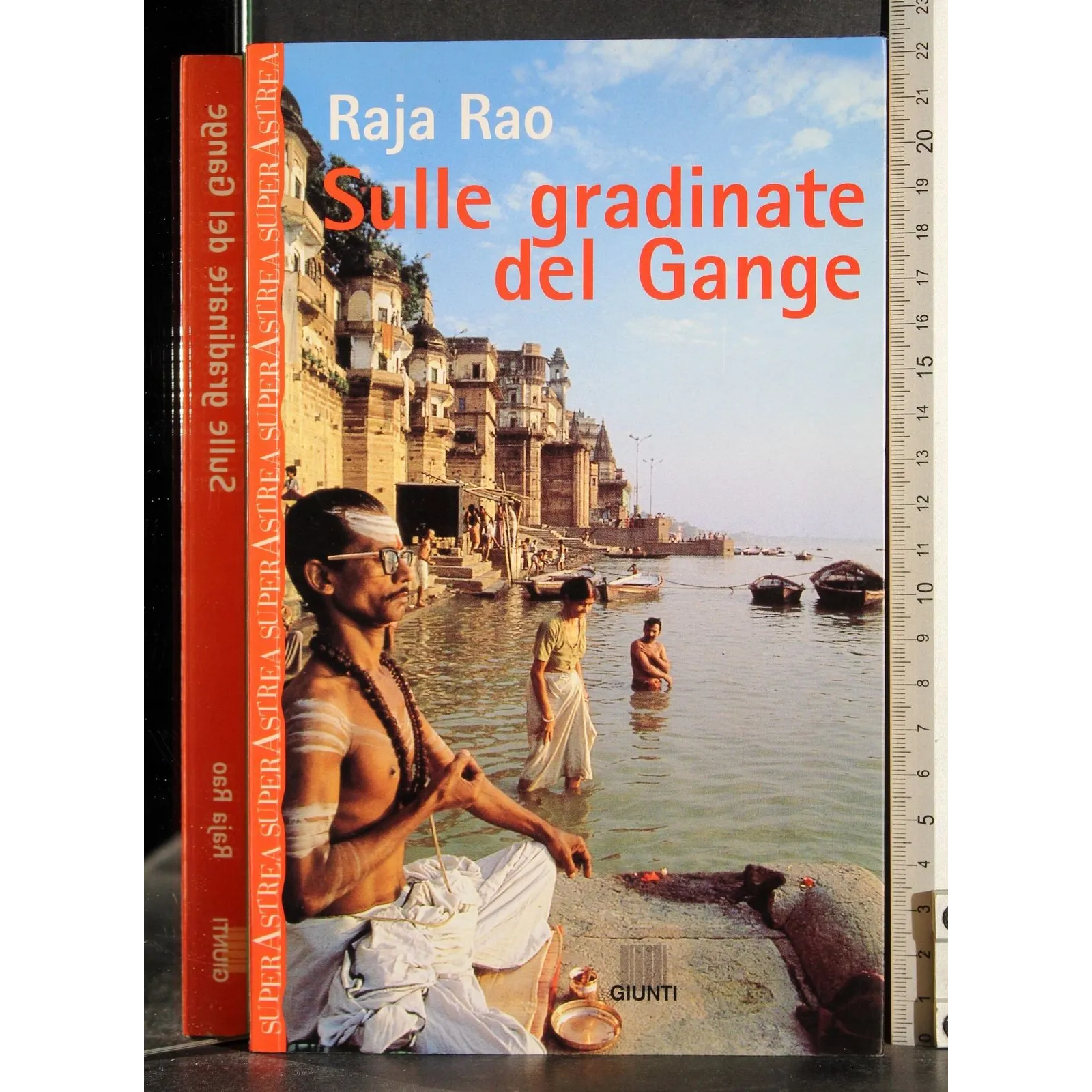 Sulle gradinate del Gange