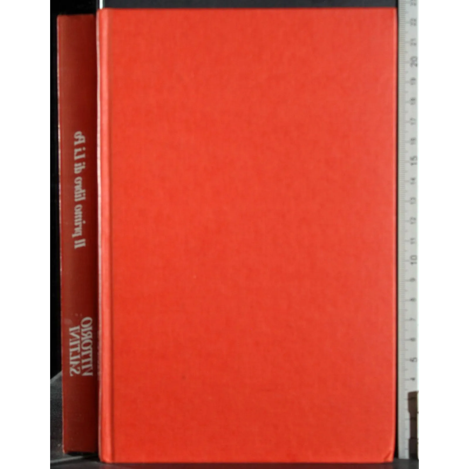 Il primo libro di Li Po