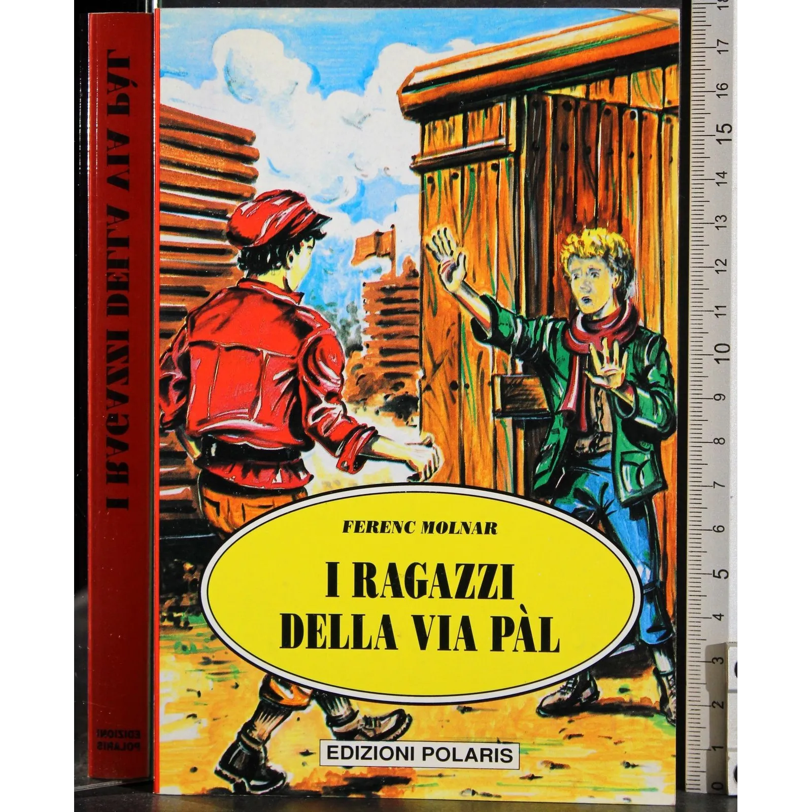 I ragazzi della via pal