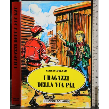 I ragazzi della via pal