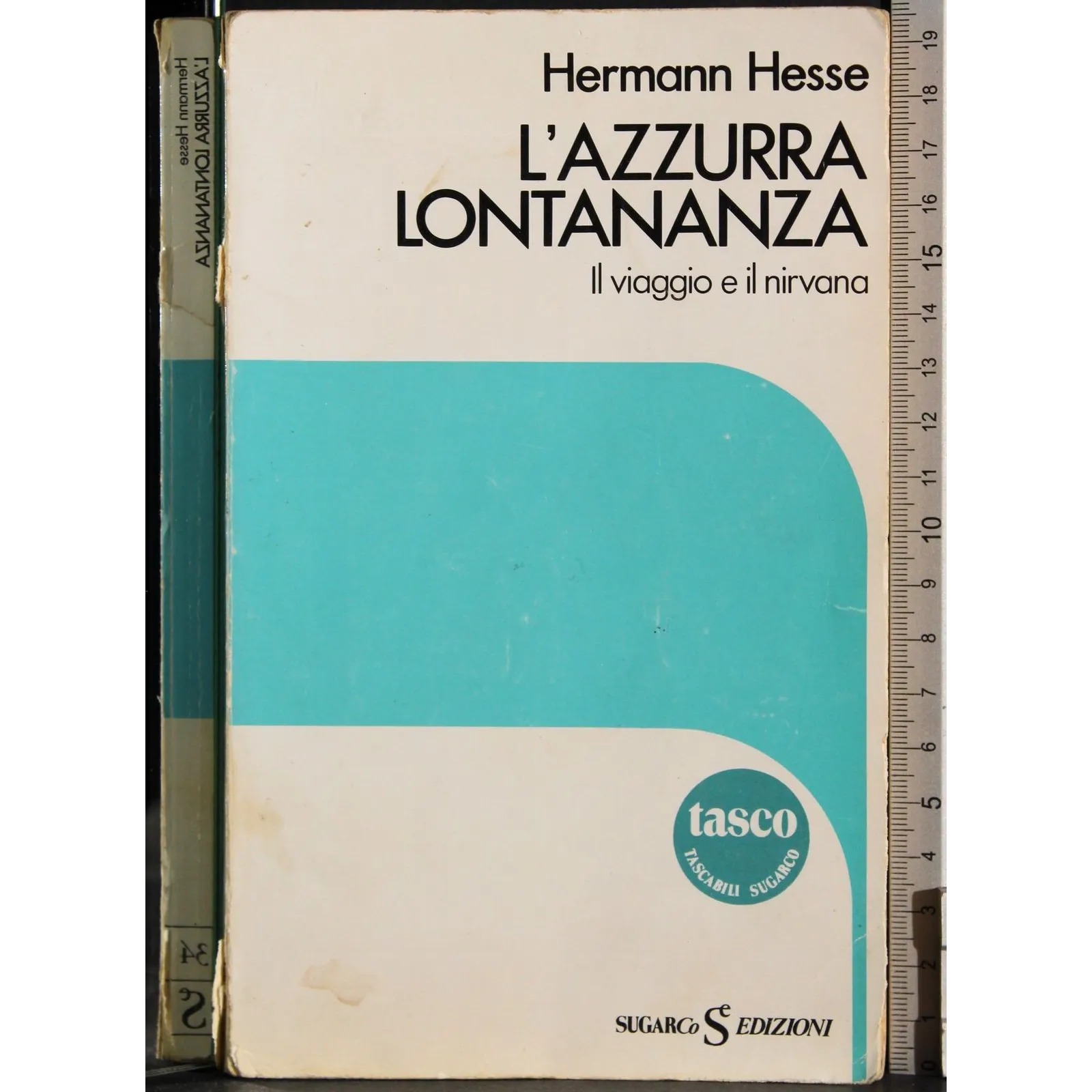 L'azzurra lontananza