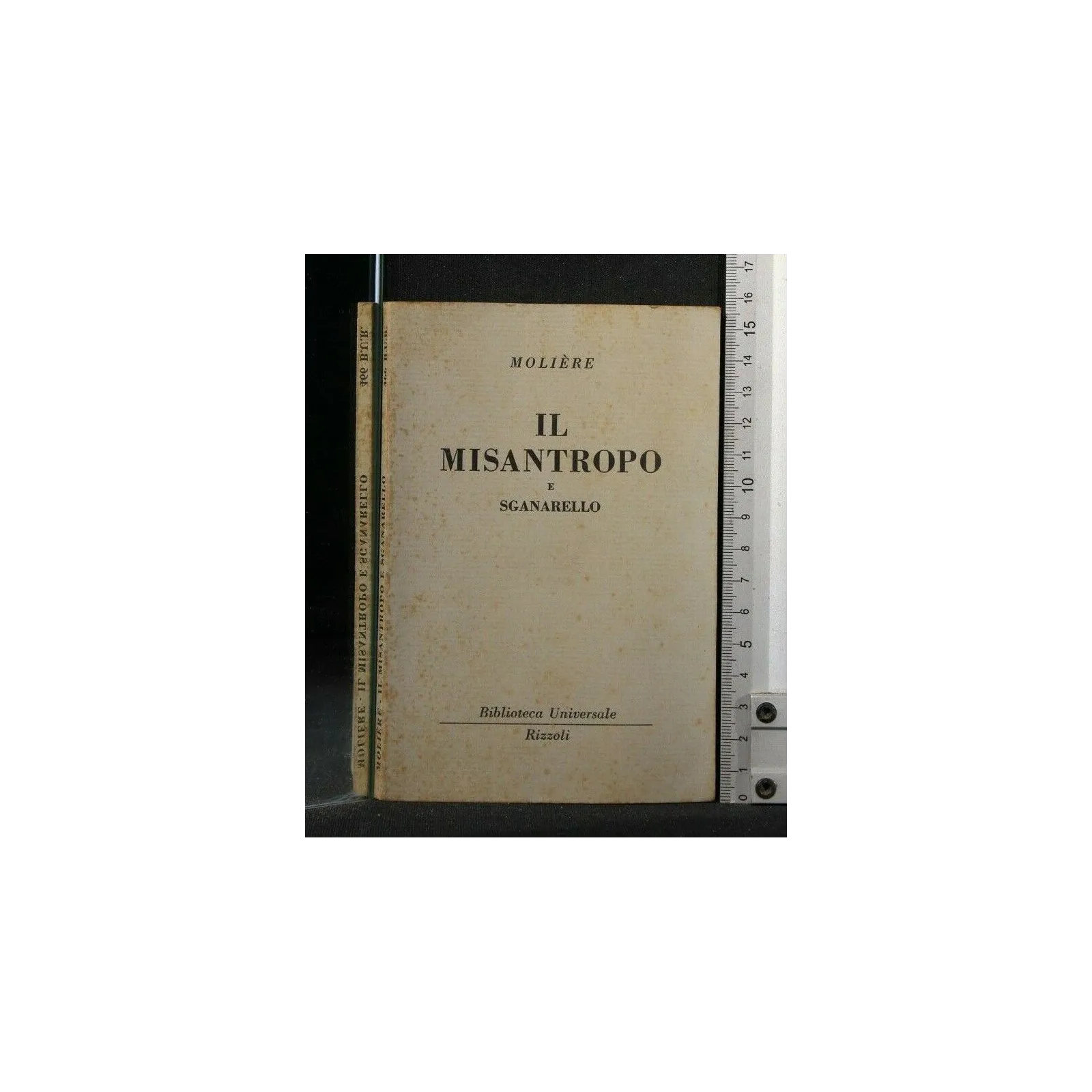 IL MISANTROPO E SGANARELLO