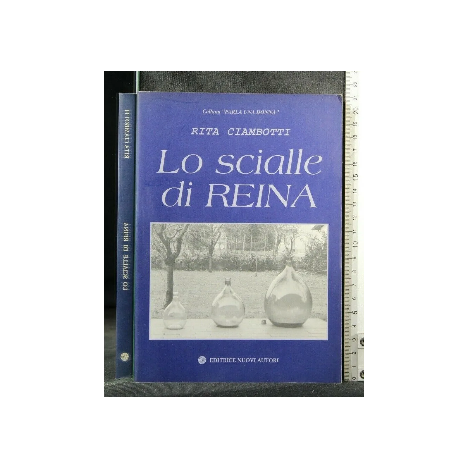 LO SCIALLE DI REINA