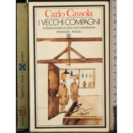 I vecchi compagni