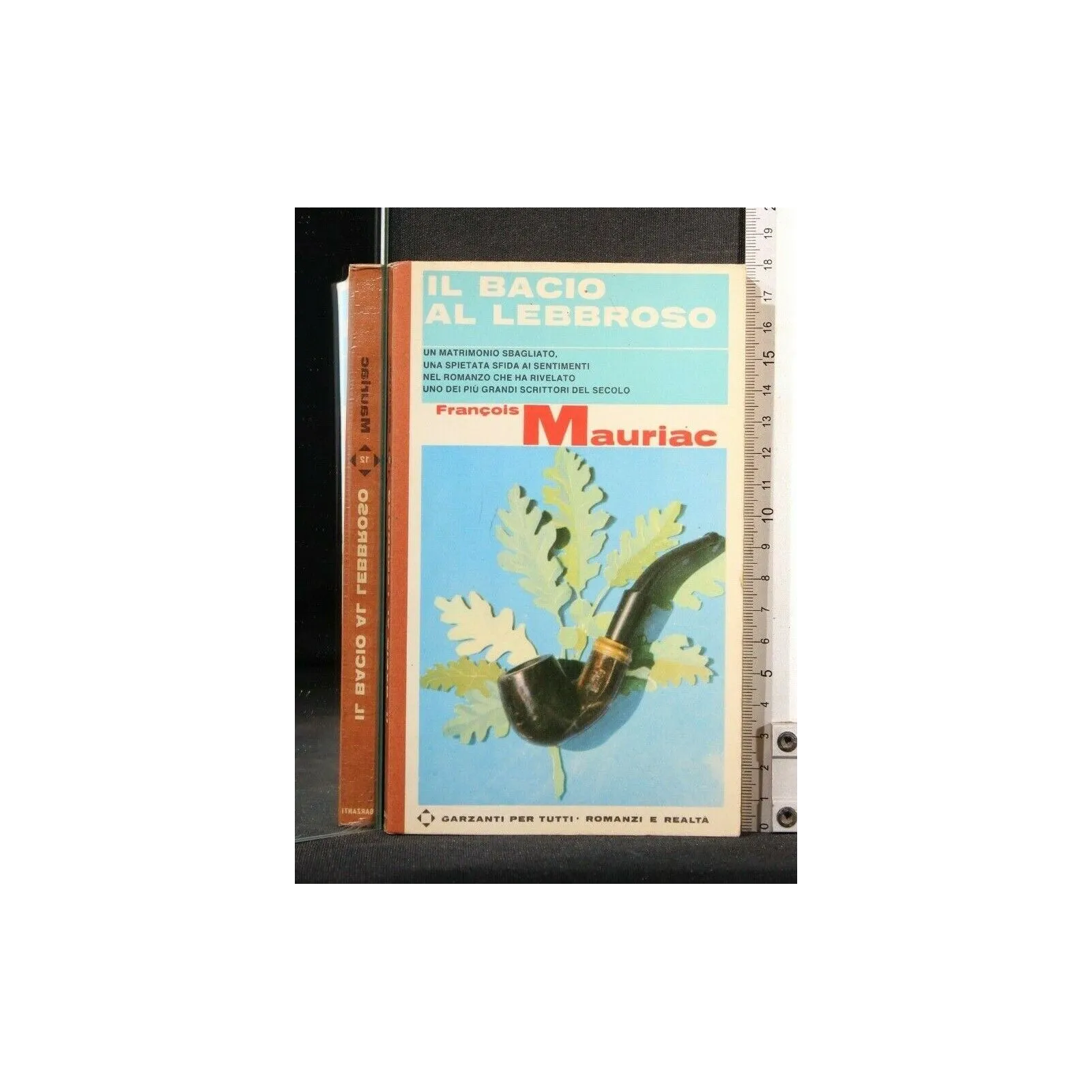 IL BACIO AL LEBBROSO