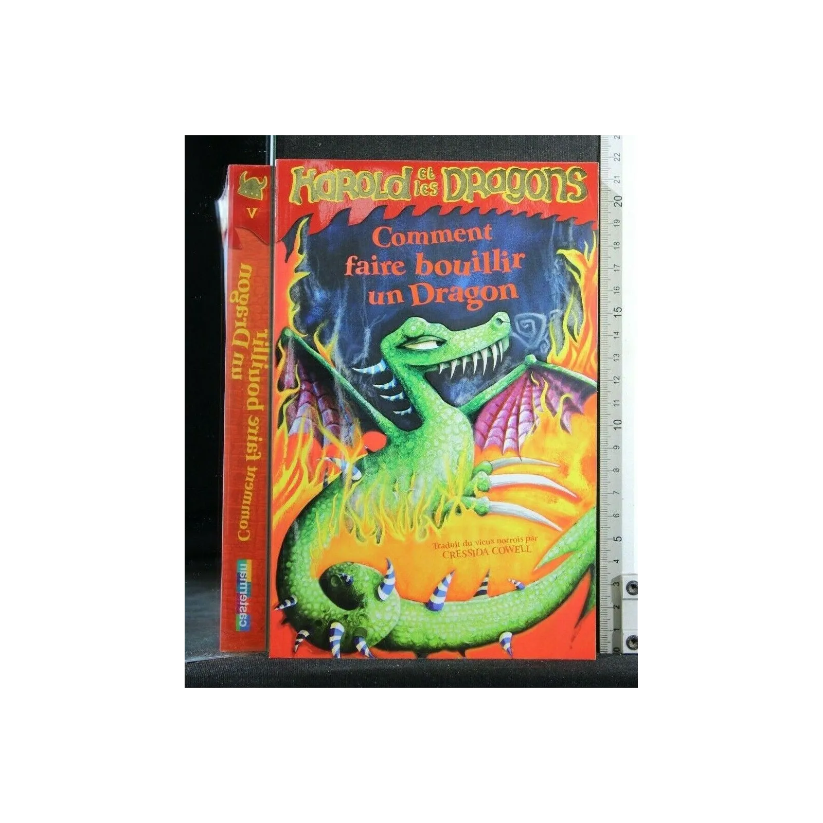 COMMENT FAIRE BOUILLIR UN DRAGON