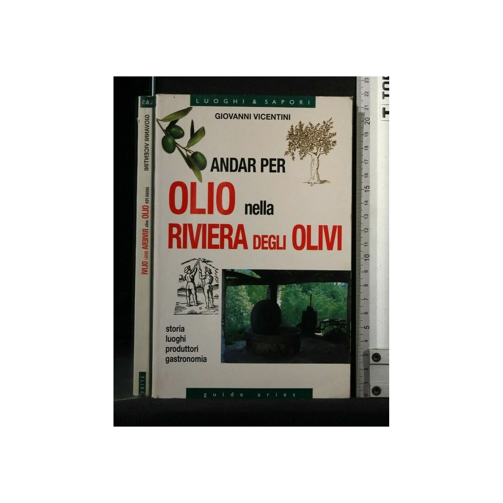 ANDAR PER OLIO NELLA RIVIERA DEGLI OLIVI