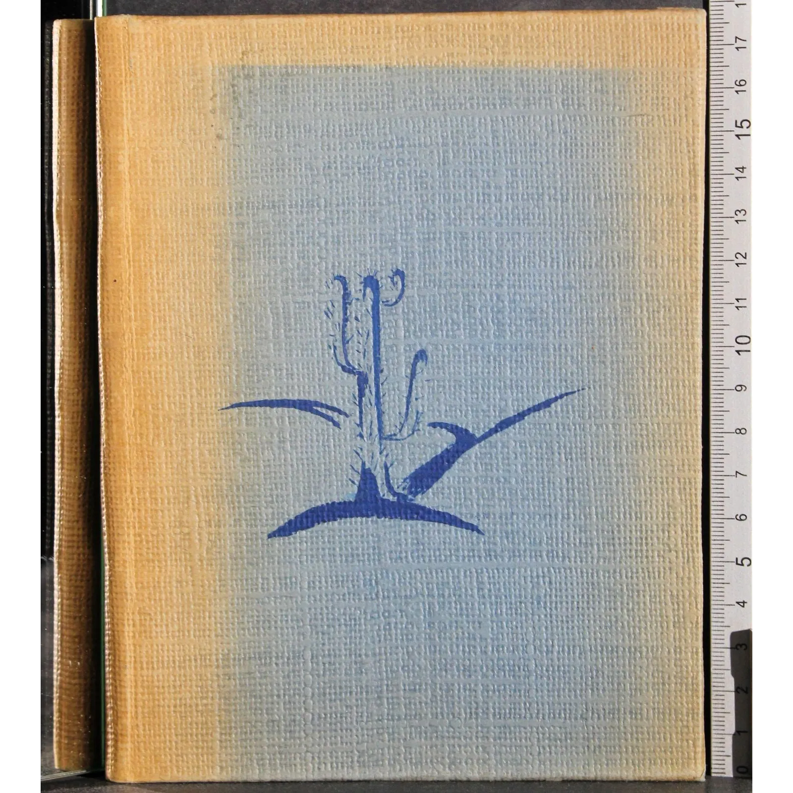 Le pelerin de l'amitie