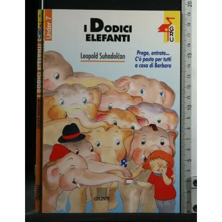 I DODICI ELEFANTI