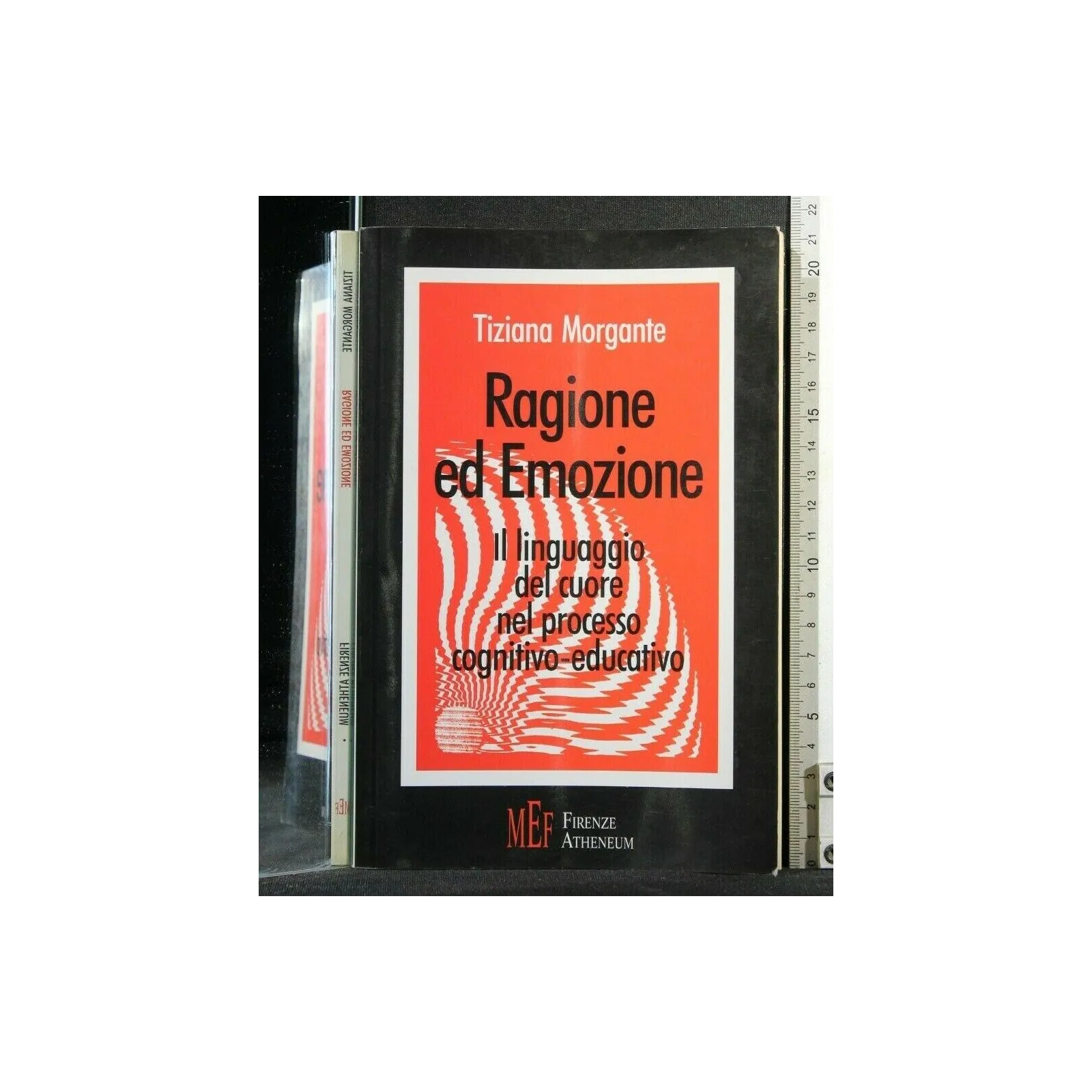 RAGIONE ED EMOZIONE