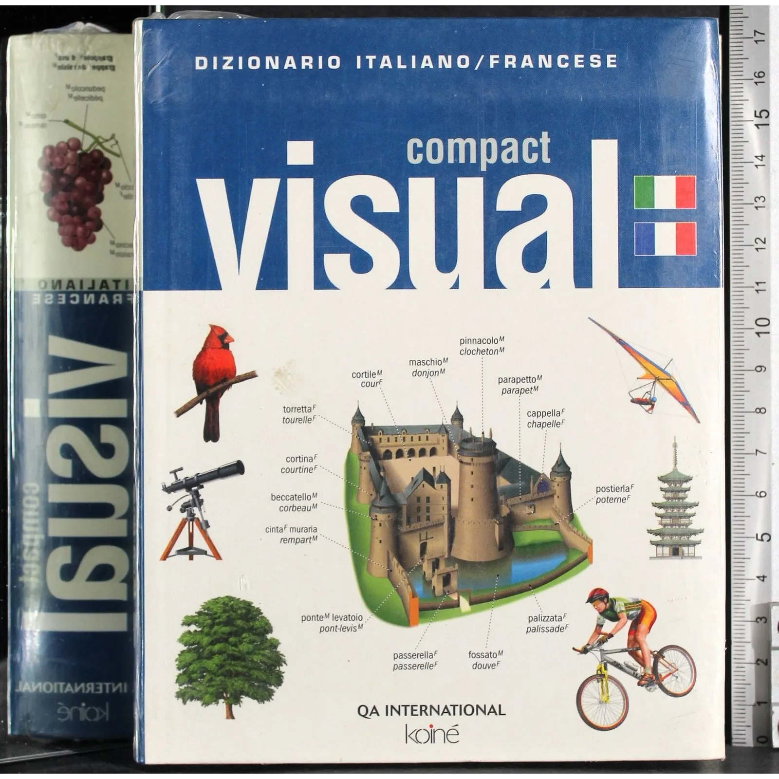 Compact visual. Dizionario italiano/francese