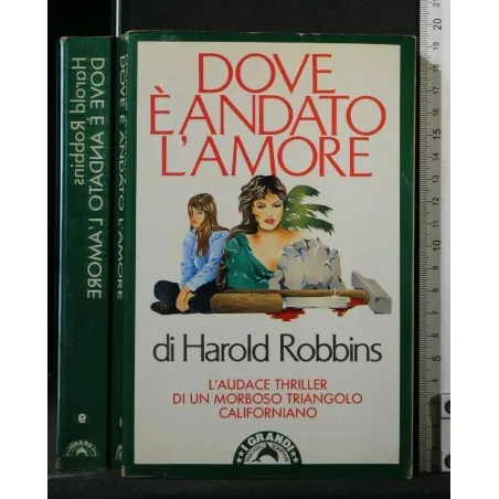 DOVE E' ANDATO L'AMORE