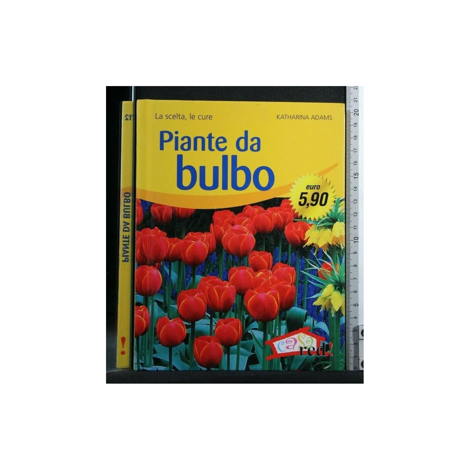 PIANTE DA BULBO