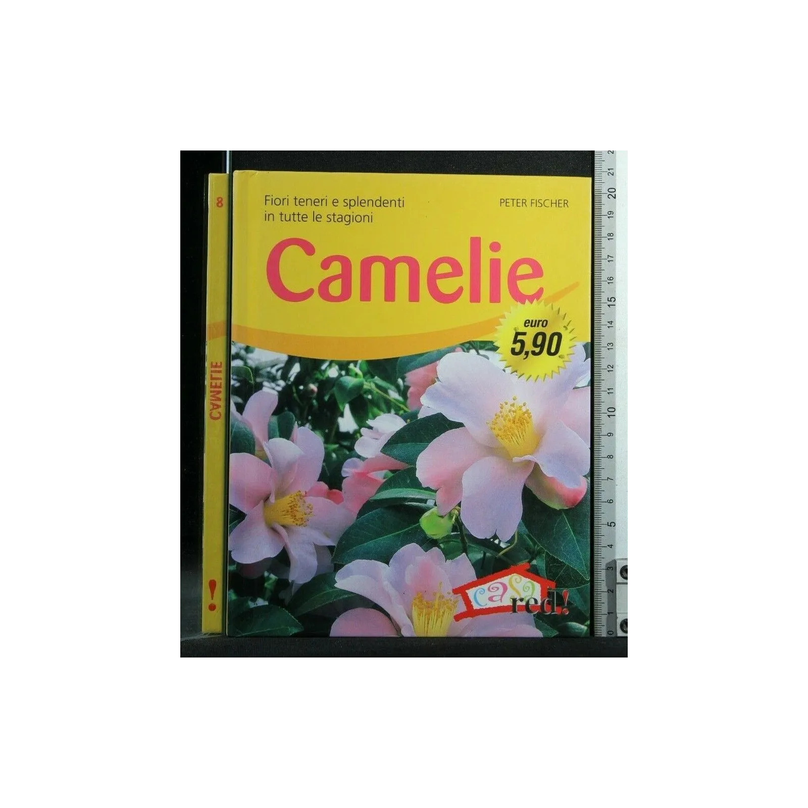 CAMELIE