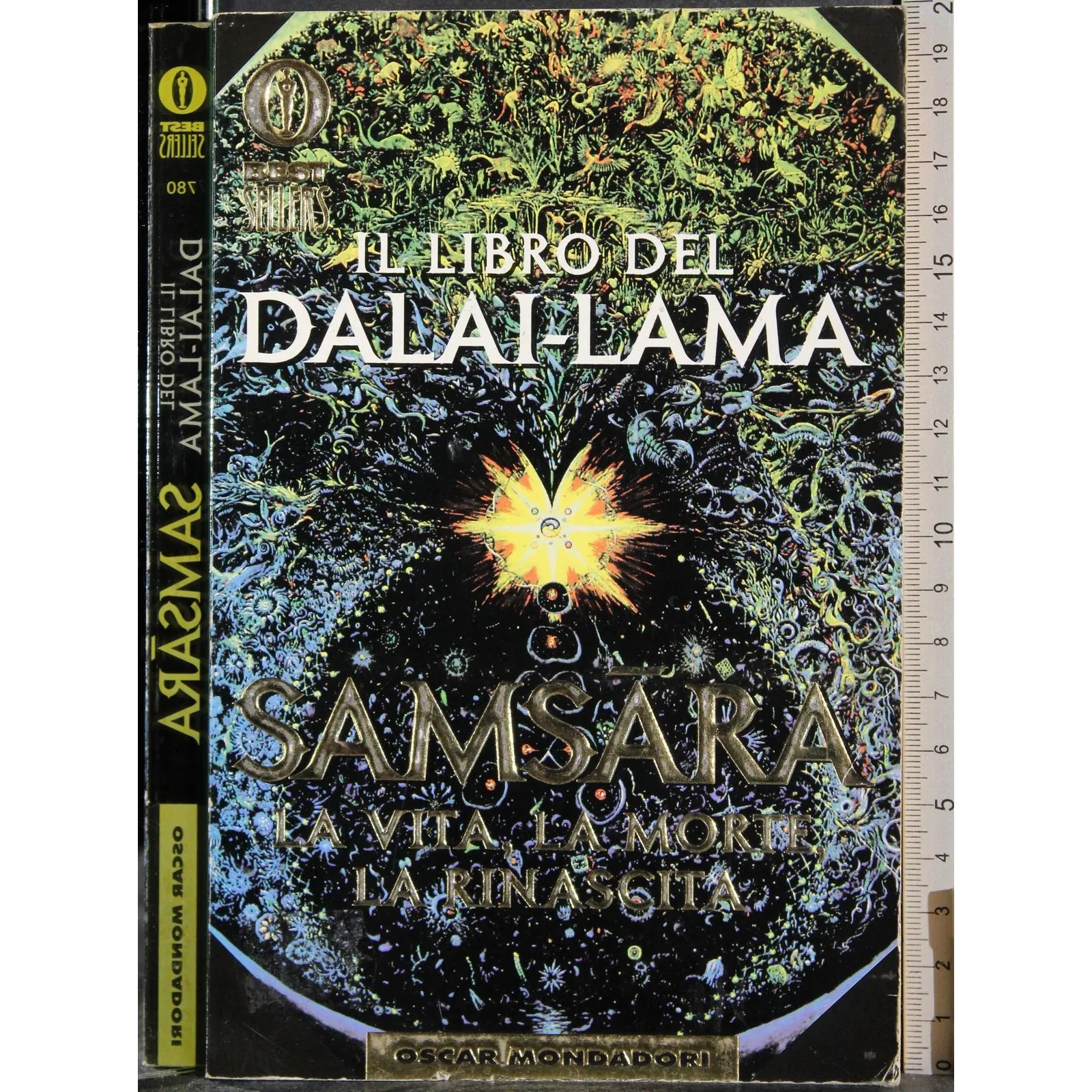 Il libro del Dalai-Lama. Samsara