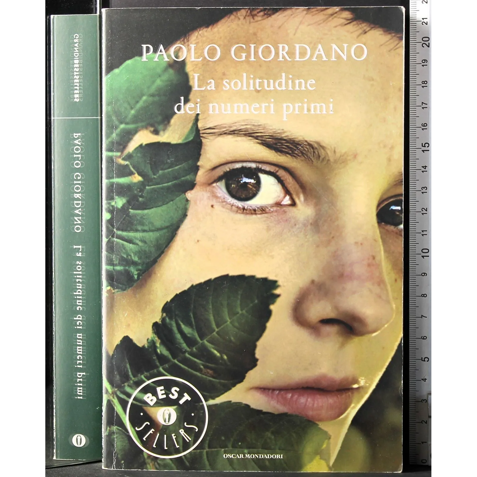 La solitudine dei numeri primi