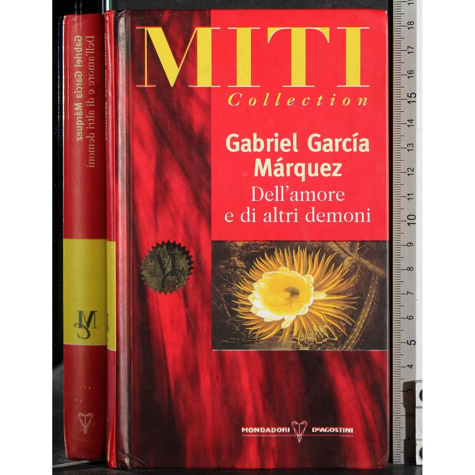 Dell'amore e di altri demoni