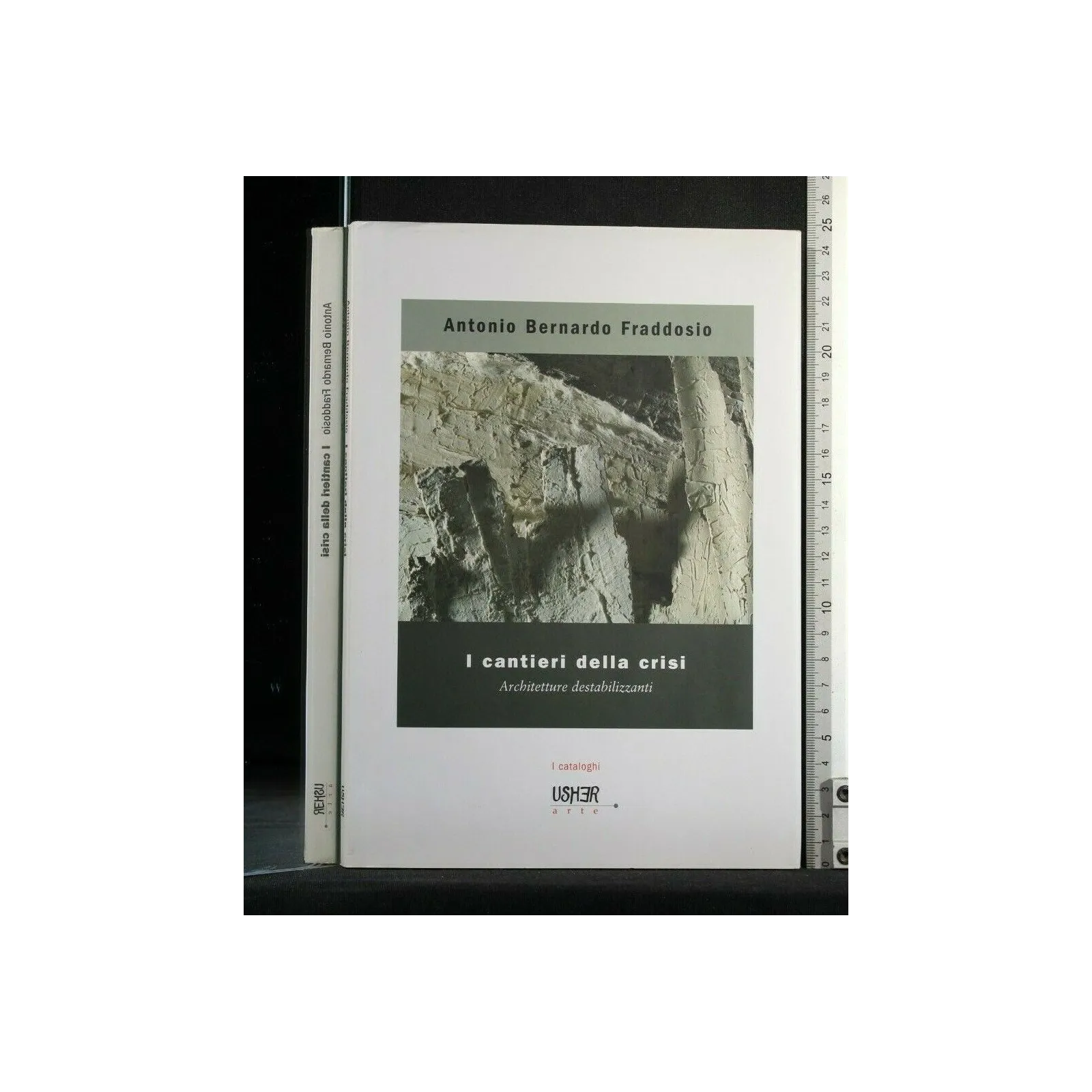 I CANTIERI DELLA CRISI ARCHITETTURE DESTABILIZZANTI