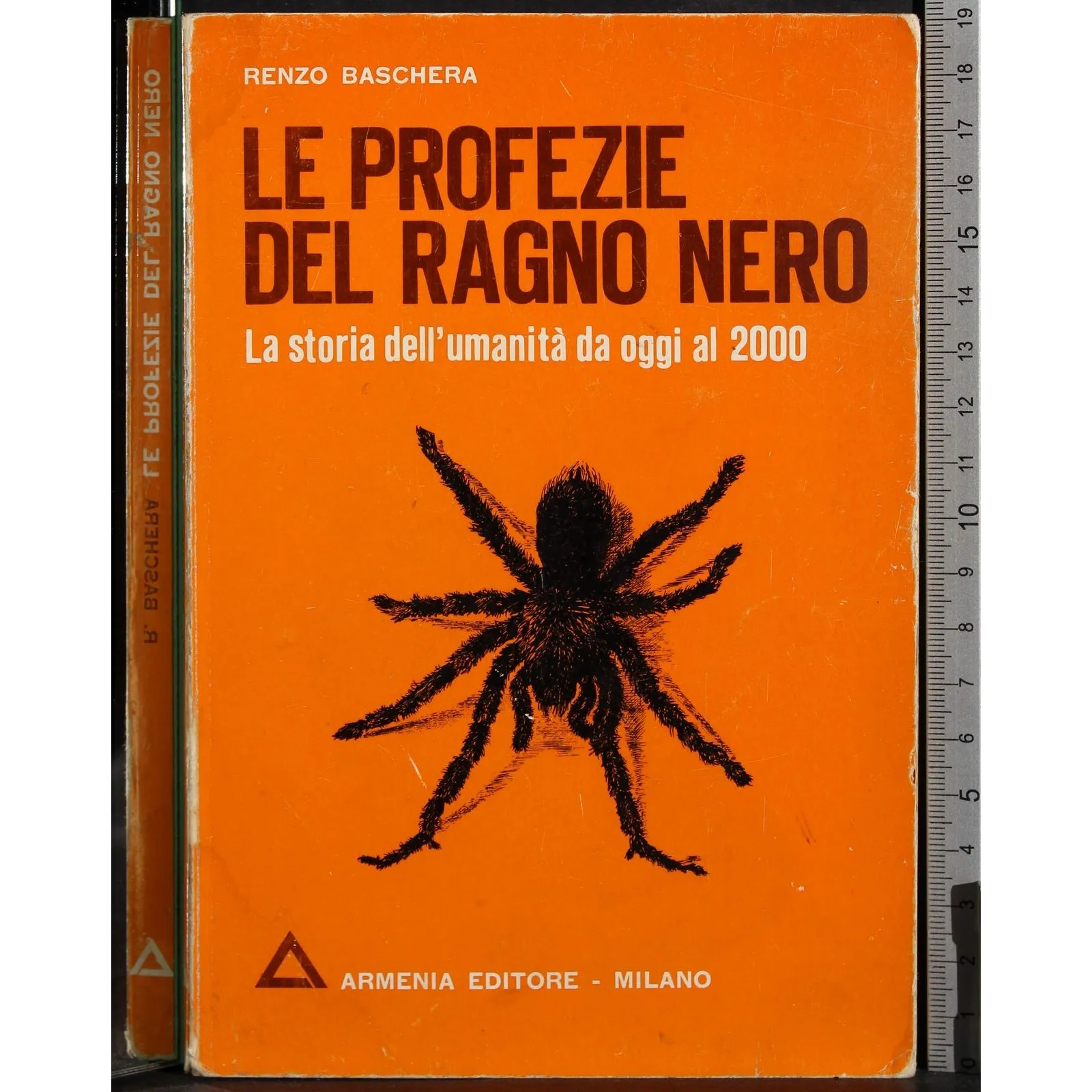 Le profezie del ragno nero
