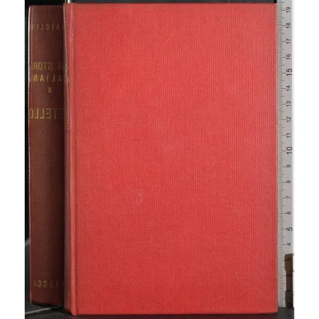 Una storia italiana. I Metello