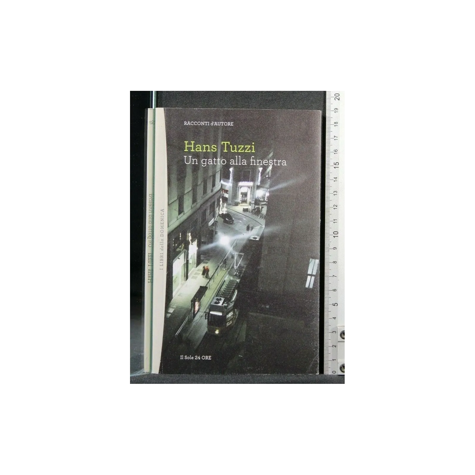 UN GATTO ALLA FINESTRA