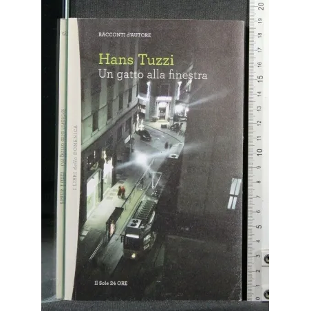 UN GATTO ALLA FINESTRA