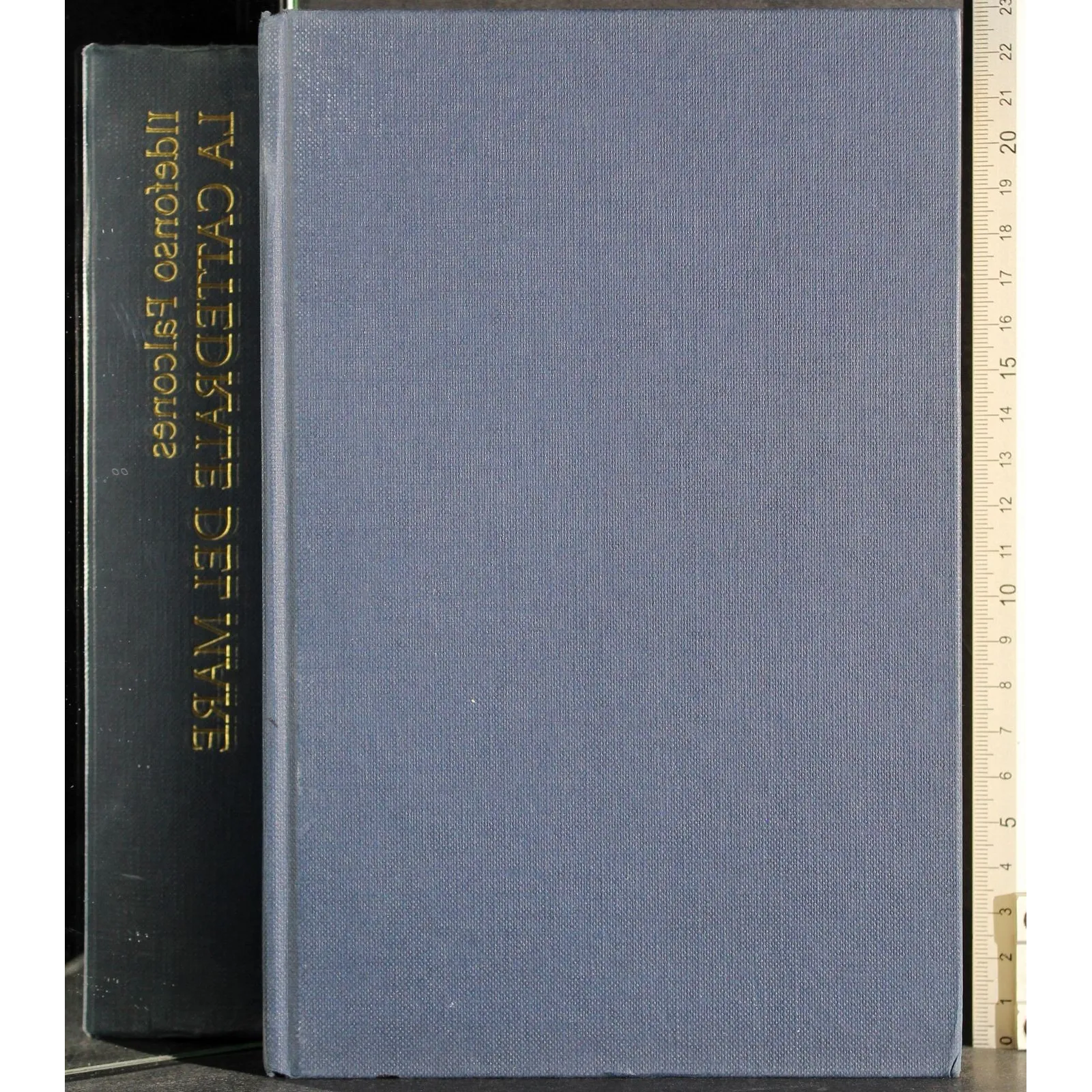 La cattedrale del mare