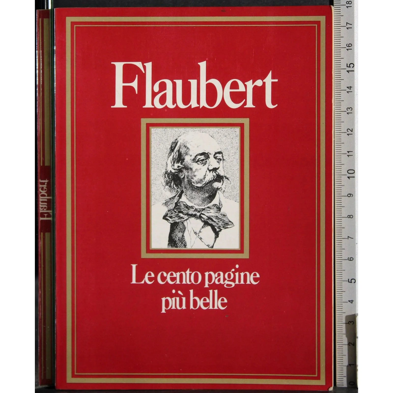 Flaubert. Le cento pagine più belle