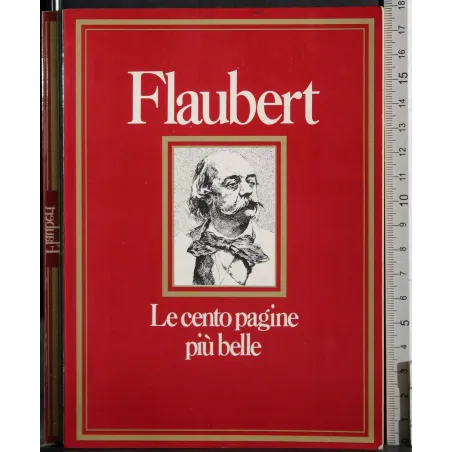 Flaubert. Le cento pagine più belle