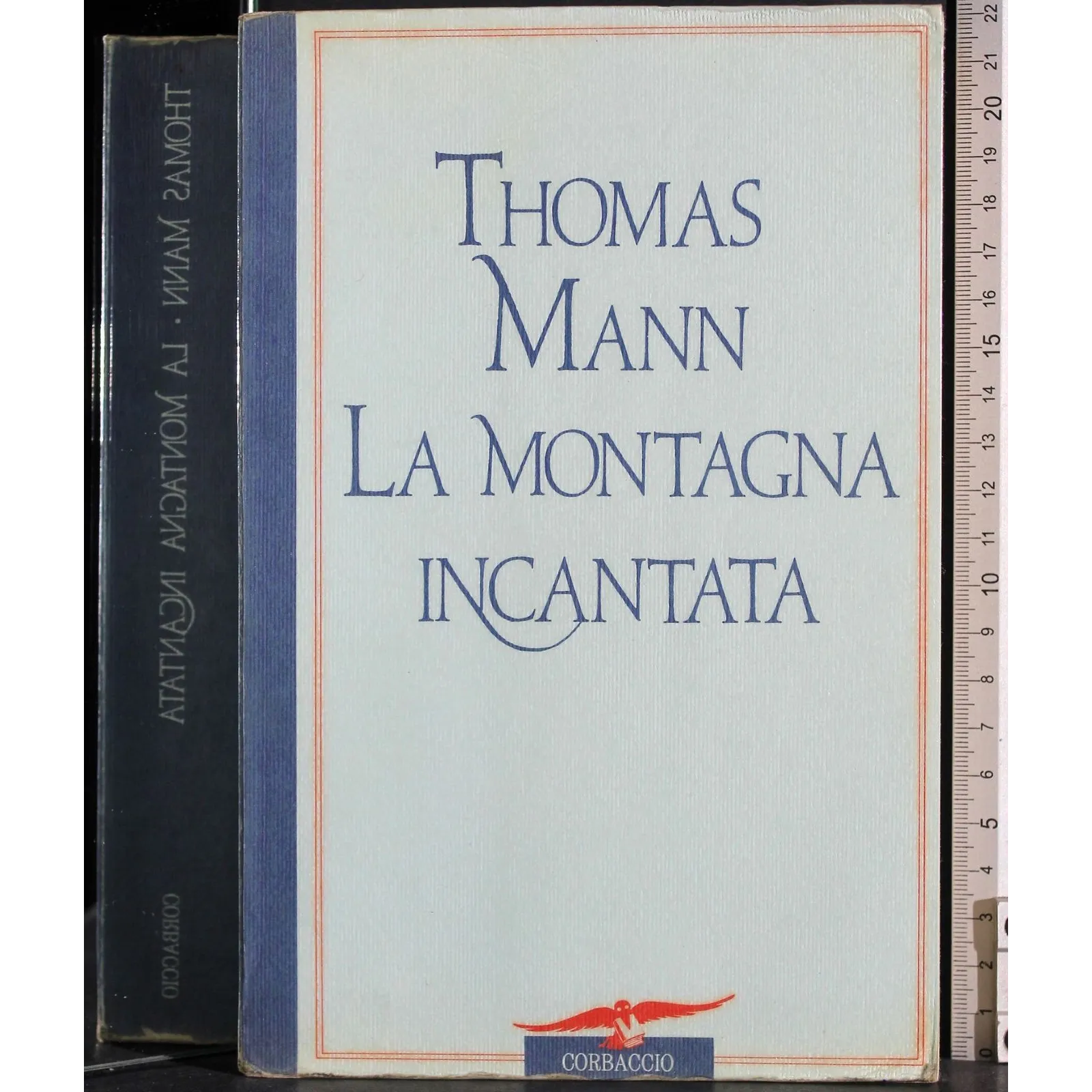 La montagna incantata