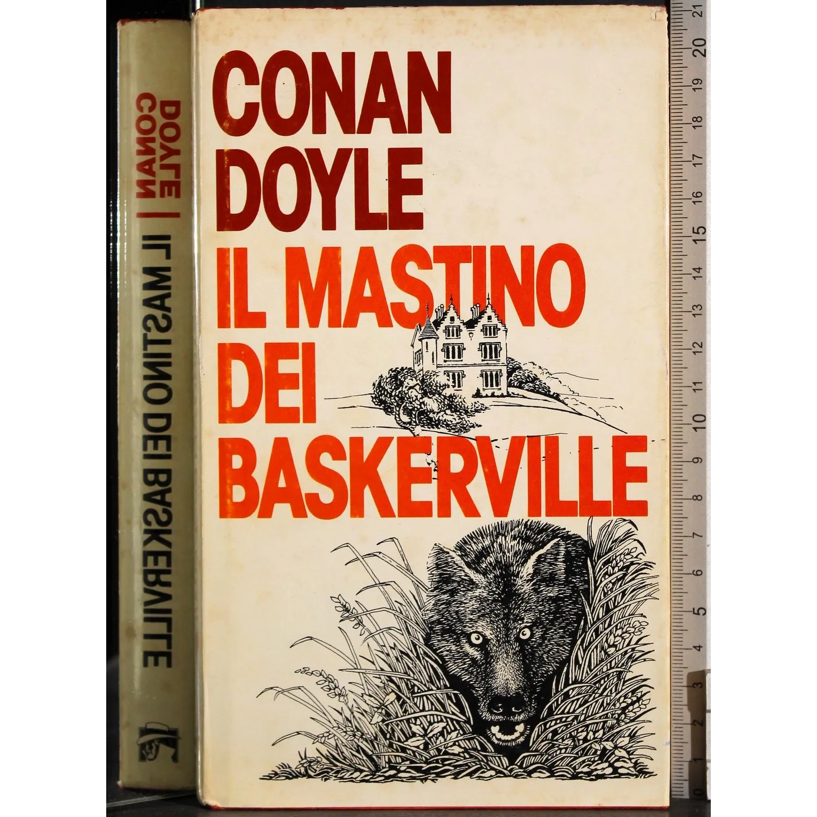 Il mastino dei Baskerville